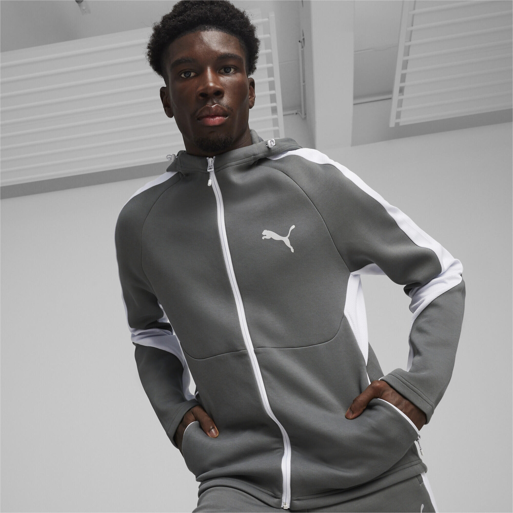 Veste zippée à capuche EVOSTRIPE PUMA Mineral Gray 2/7