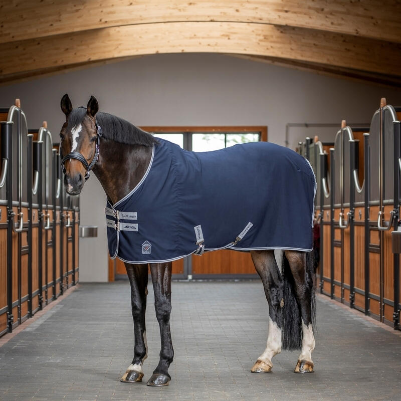 Horse stable blanket LeMieux Arika 200g