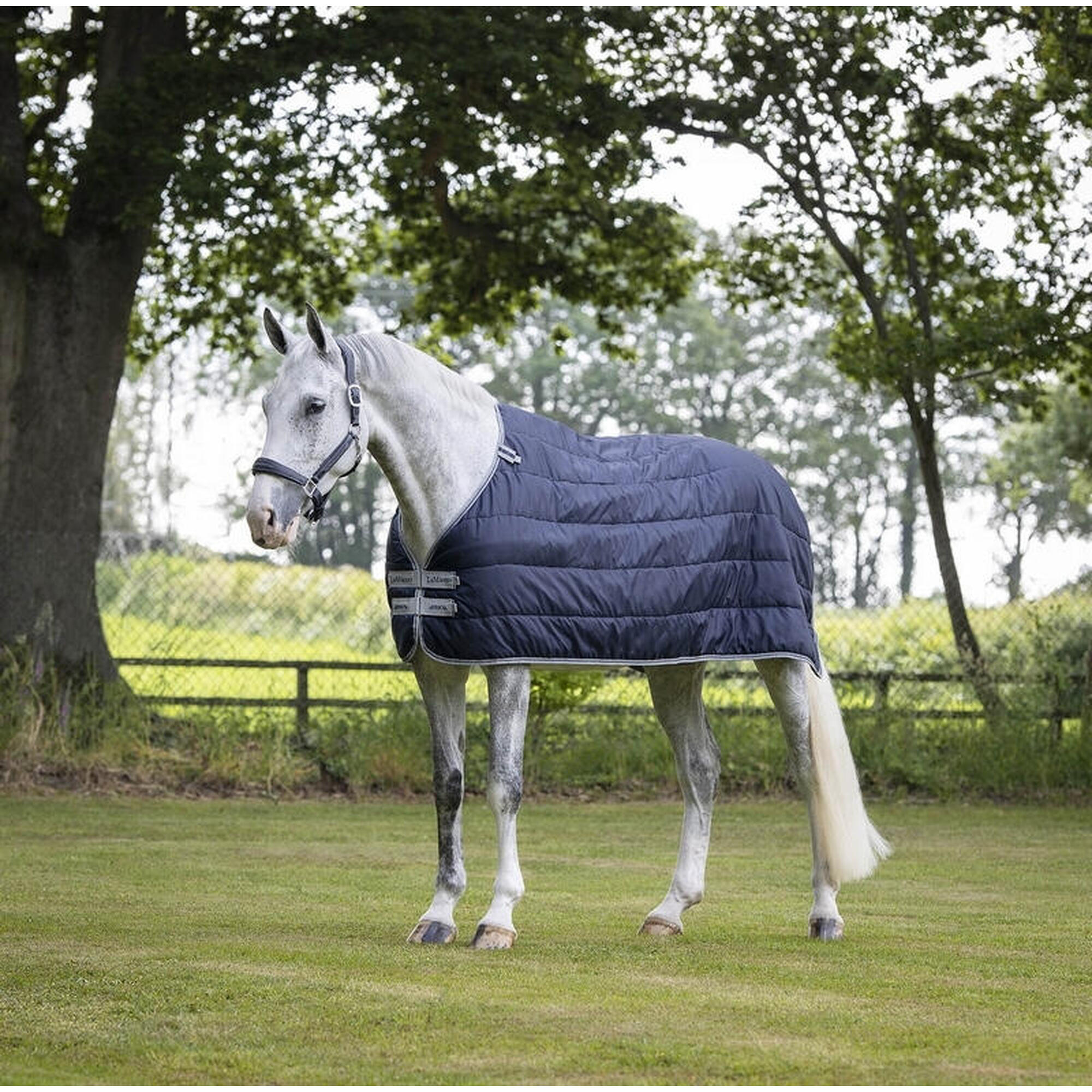 Outdoor horse rug LeMieux Arika 200 g