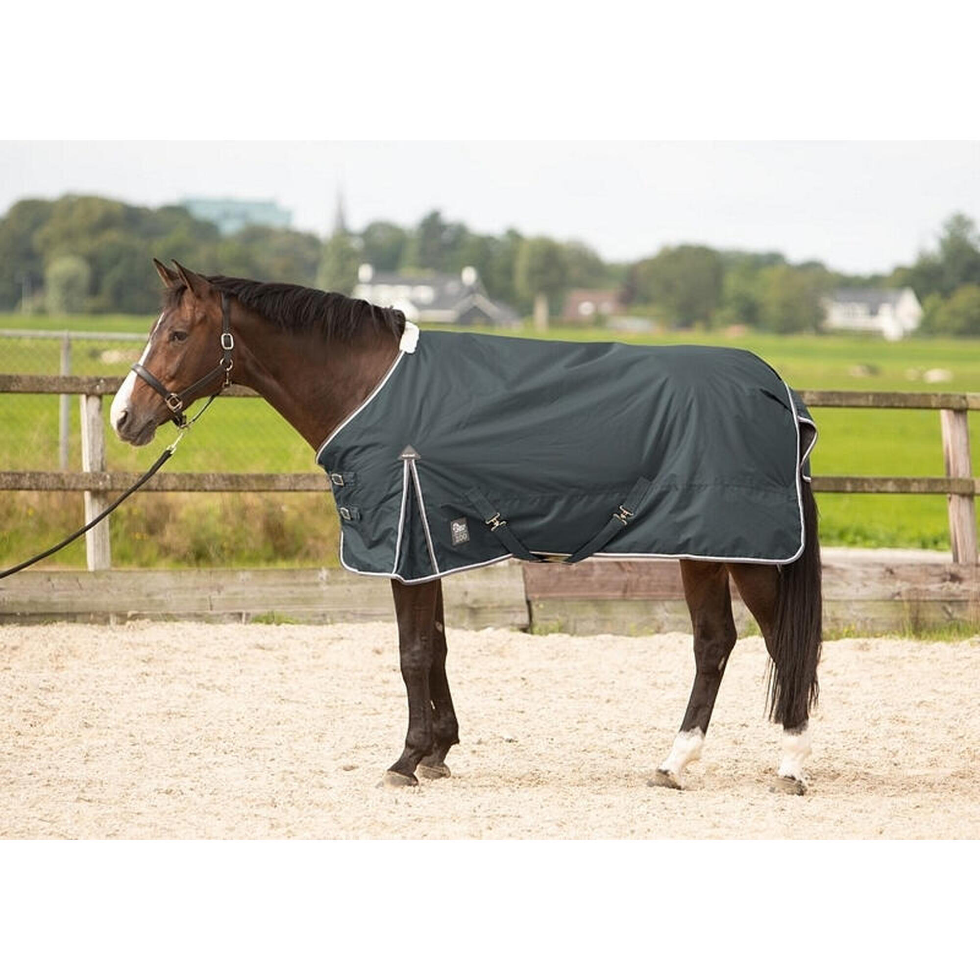 Harry's Horse Thor 100 gr horse blanket