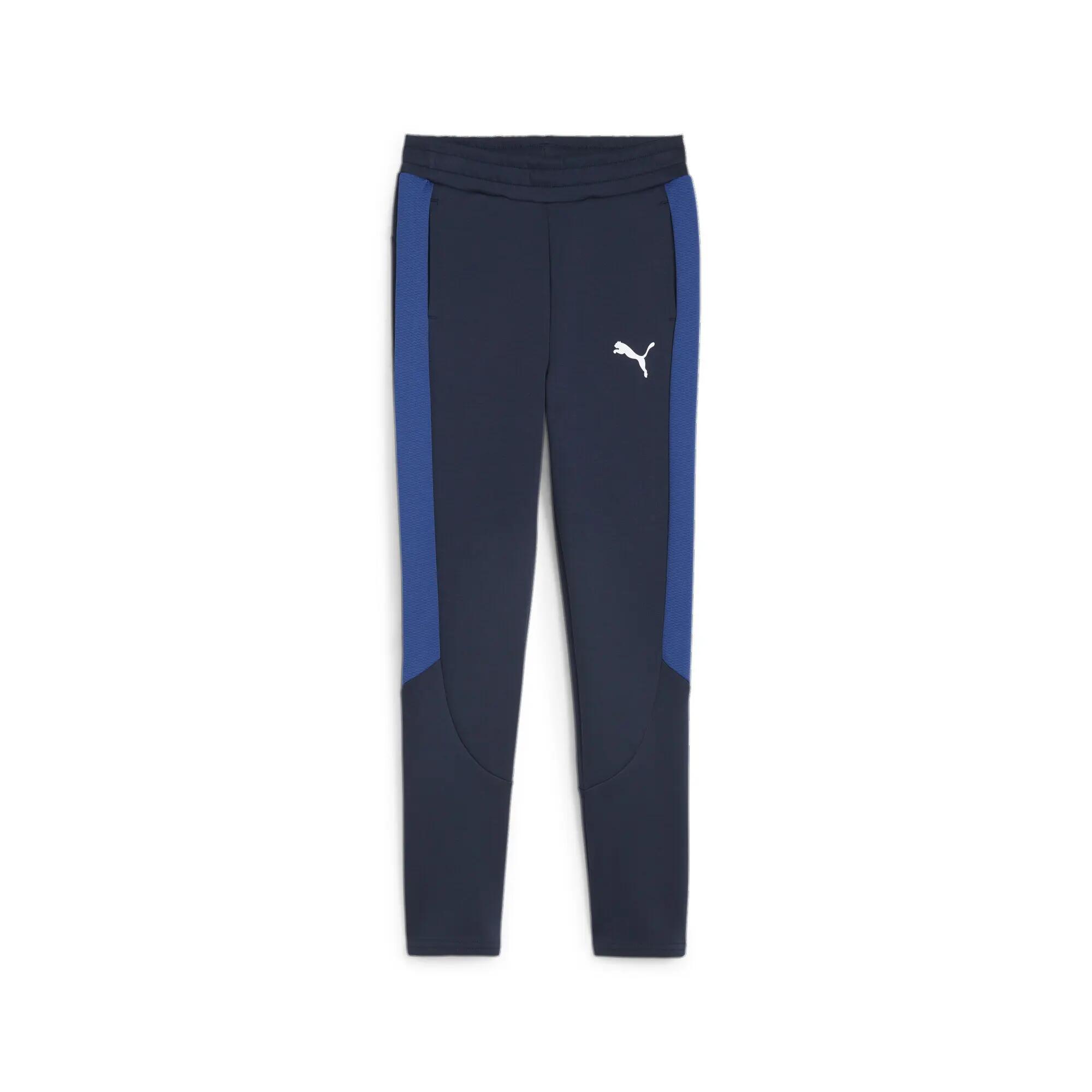 PUMA picture