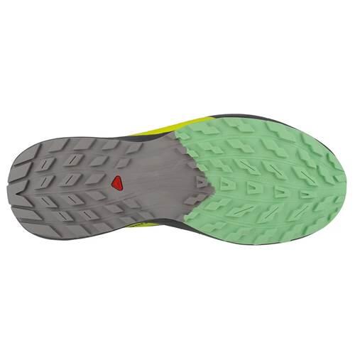 Chaussures running hommes Salomon Sense Ride 5 4/4