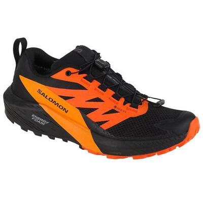 Herren lauf Schuh Salomon Sense Ride 5 Gtx
