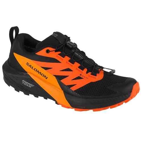 Sapatos para correr /jogging para homens / masculino Salomon Sense Ride 5 Gtx