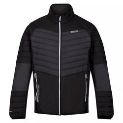 Veste softshell HALTON Homme (Gris foncé / Noir)