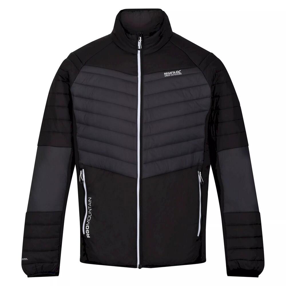 HALTON Men's softshell jacket (Dark gray / Black)