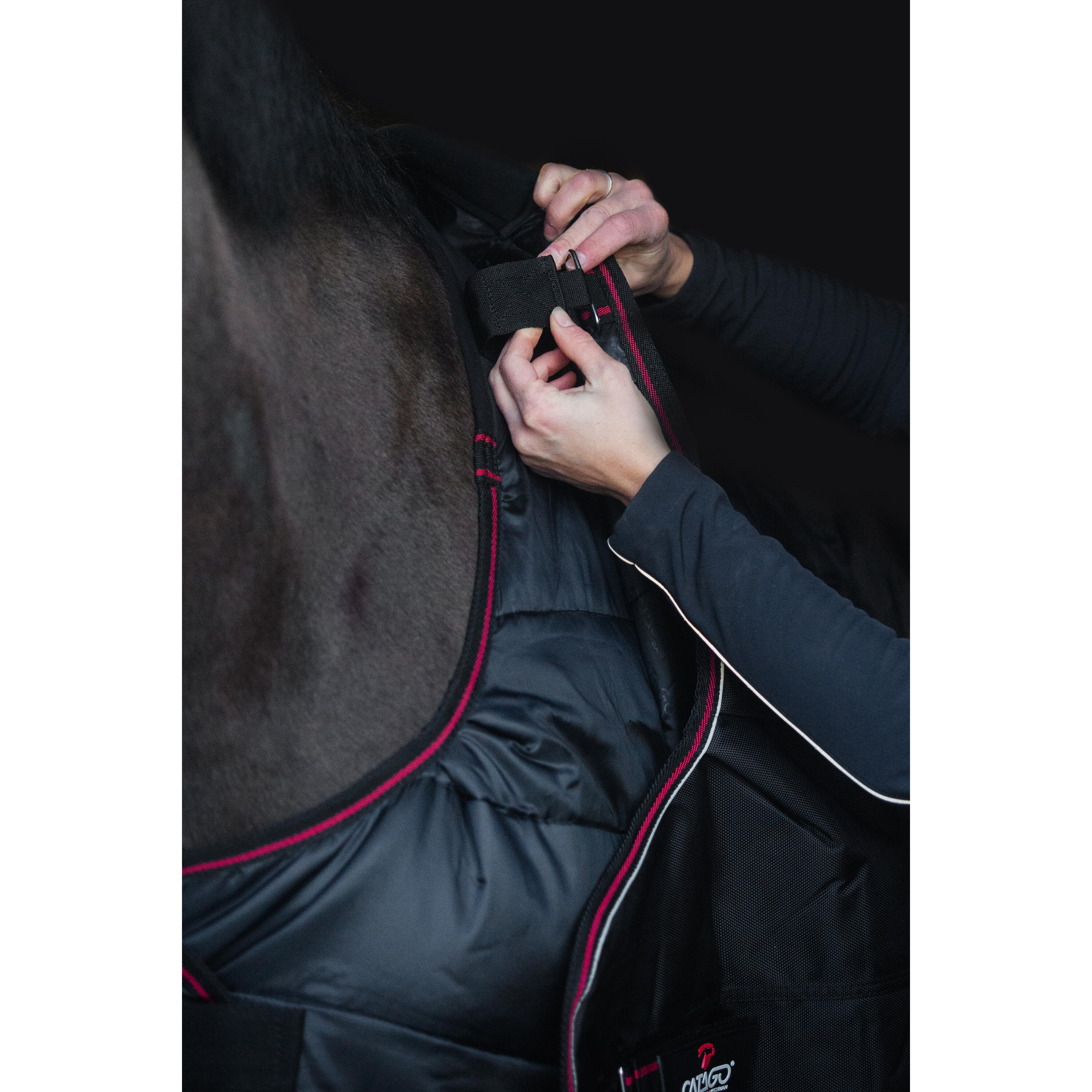 Manta de exterior para caballos Catago Dual Pro 100 g 5/5