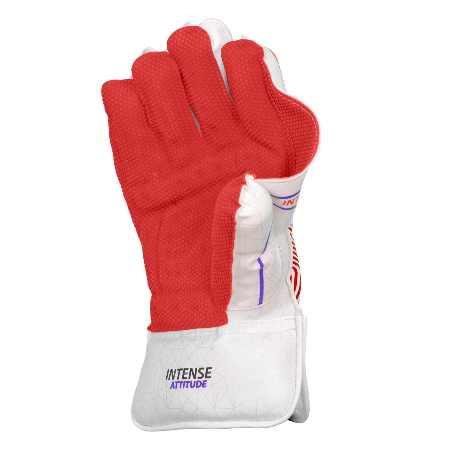 DSC Intense Attitude Wicket keeping Gloves 2/5