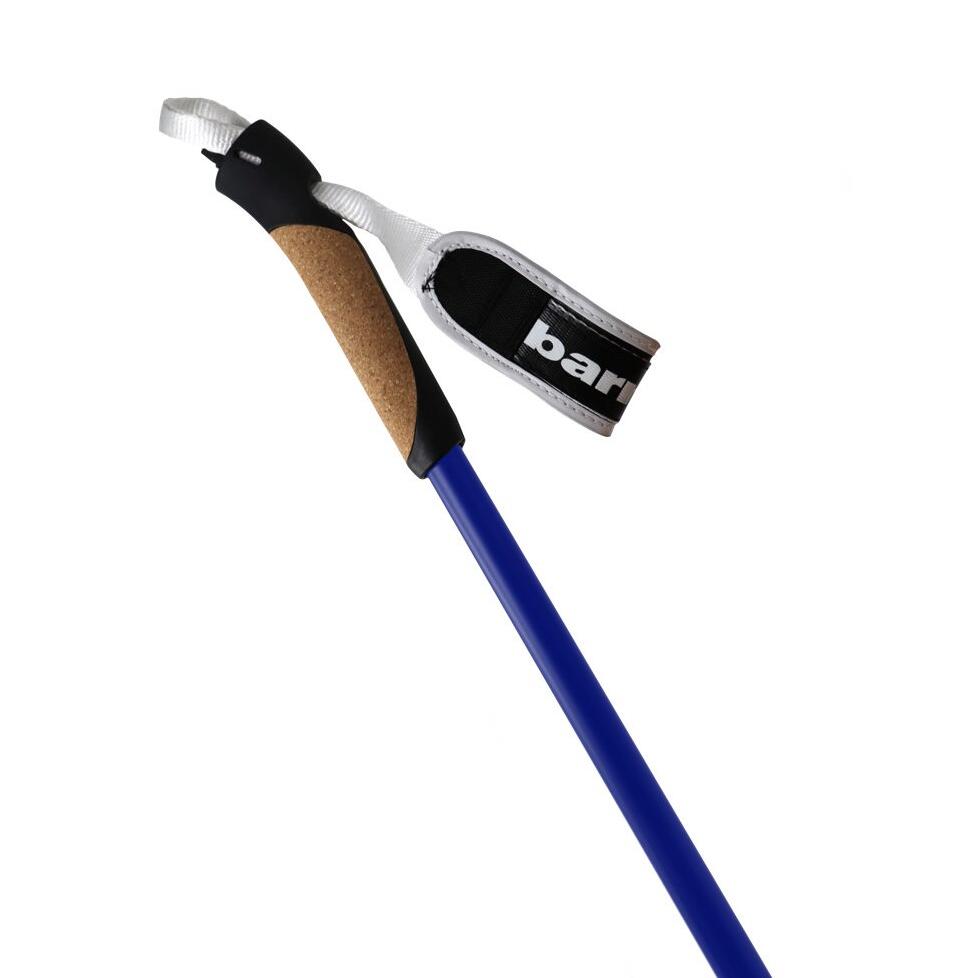 XC-09 poles made of 100% carbon, navy blue 3/6