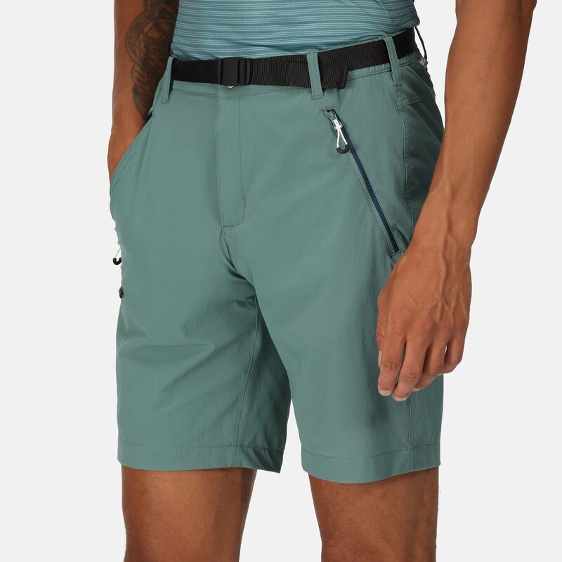 Calças de caminhada para homem - REGATTA Xert StrShort III - Sea Pine