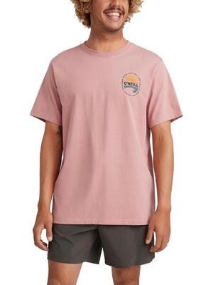 O'neill o'neill t-shirts vinas t-shirt heren ash rose
