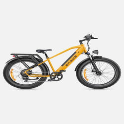 ENGWE E26 Elektrische mountainbike - 250W 768WH Bereik 140KM - Geel