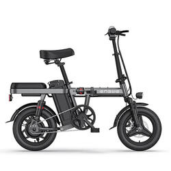 ENGWE T14 EU 250W elektrische fiets - bereik van 45 km - schijfremmen - grijs