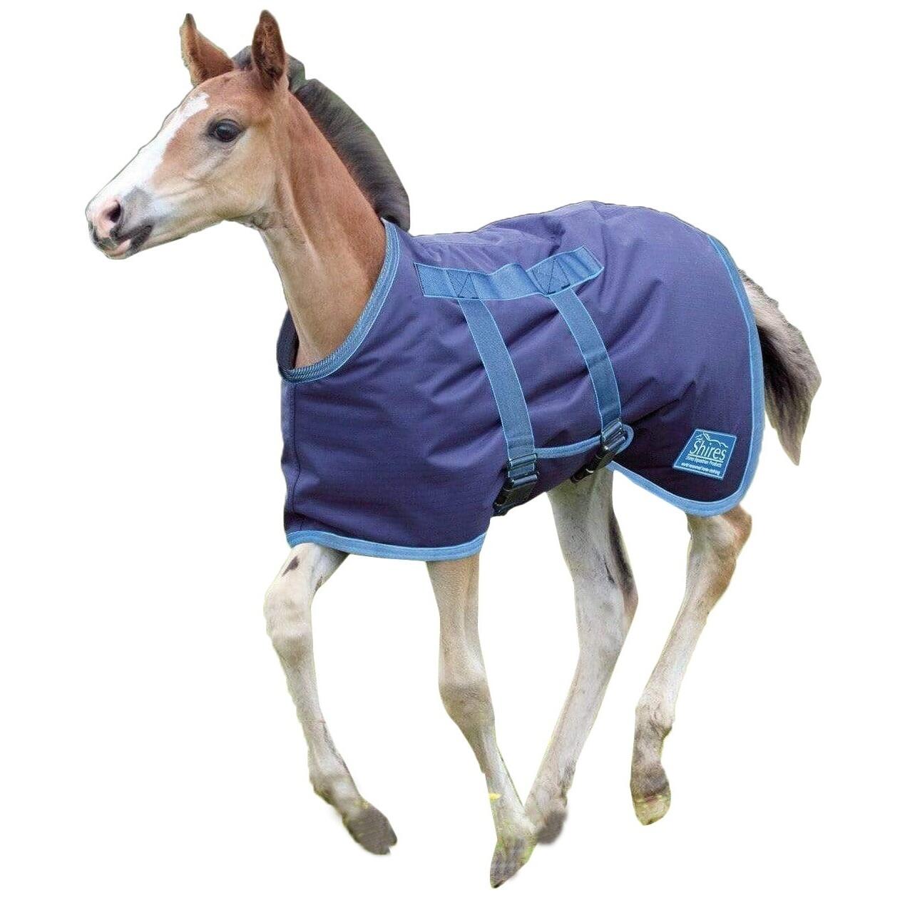 SHIRES Tempest Original Foal Turnout Rug (Navy/Turquoise)