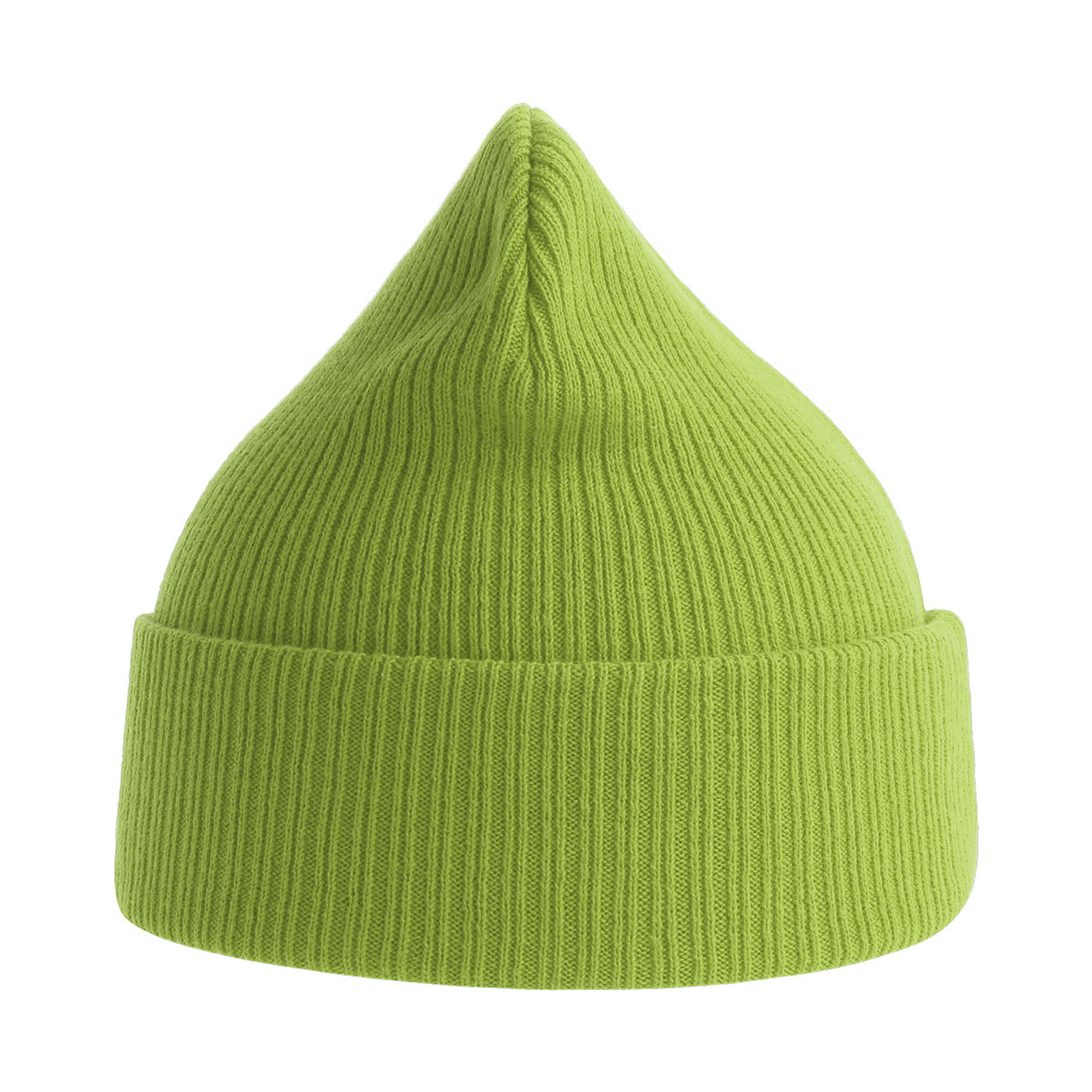 Unisex Adult Nelson Ribbed Cotton Beanie (Leaf Green) 3/3