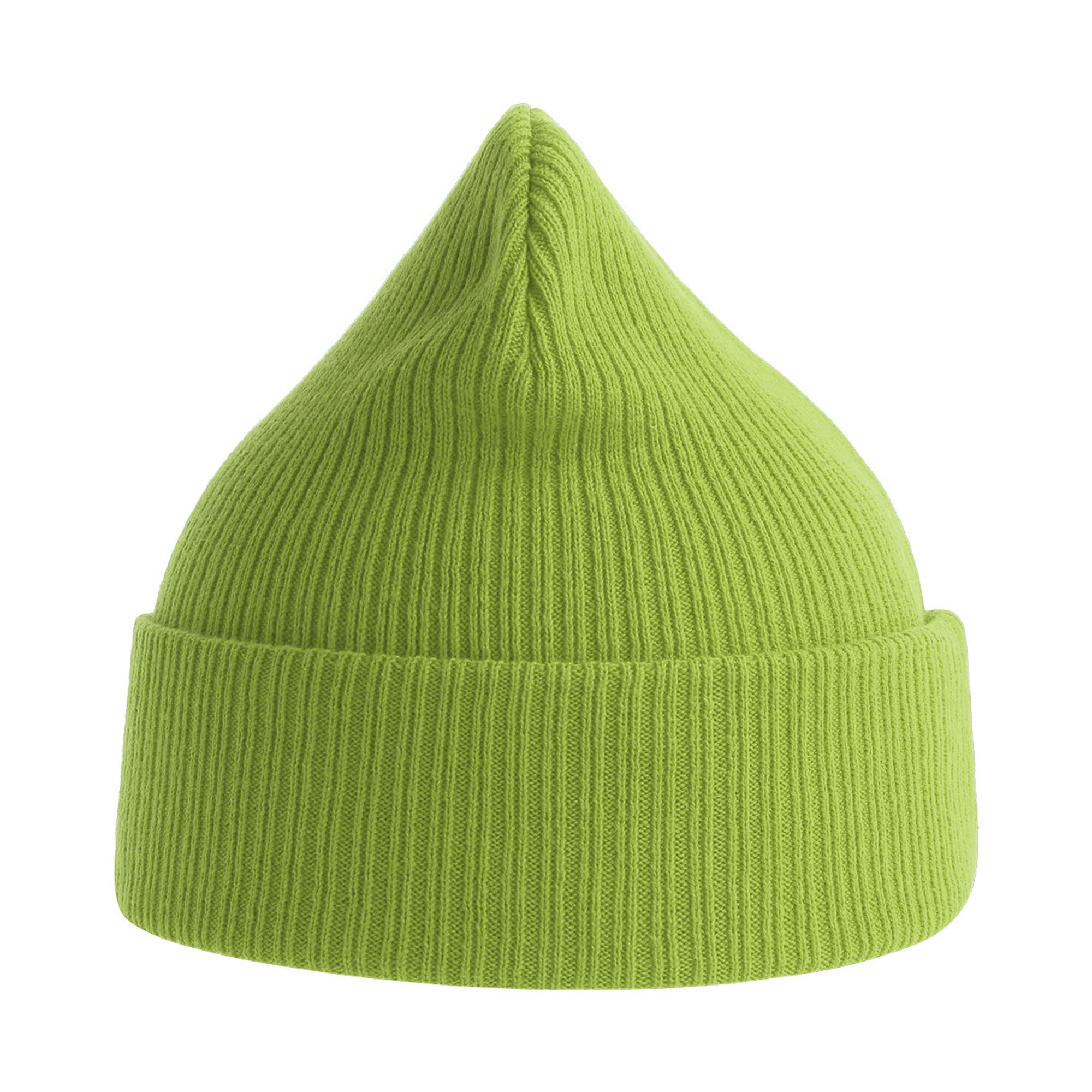 Unisex Adult Nelson Ribbed Organic Cotton Beanie (Leaf Green) 3/3