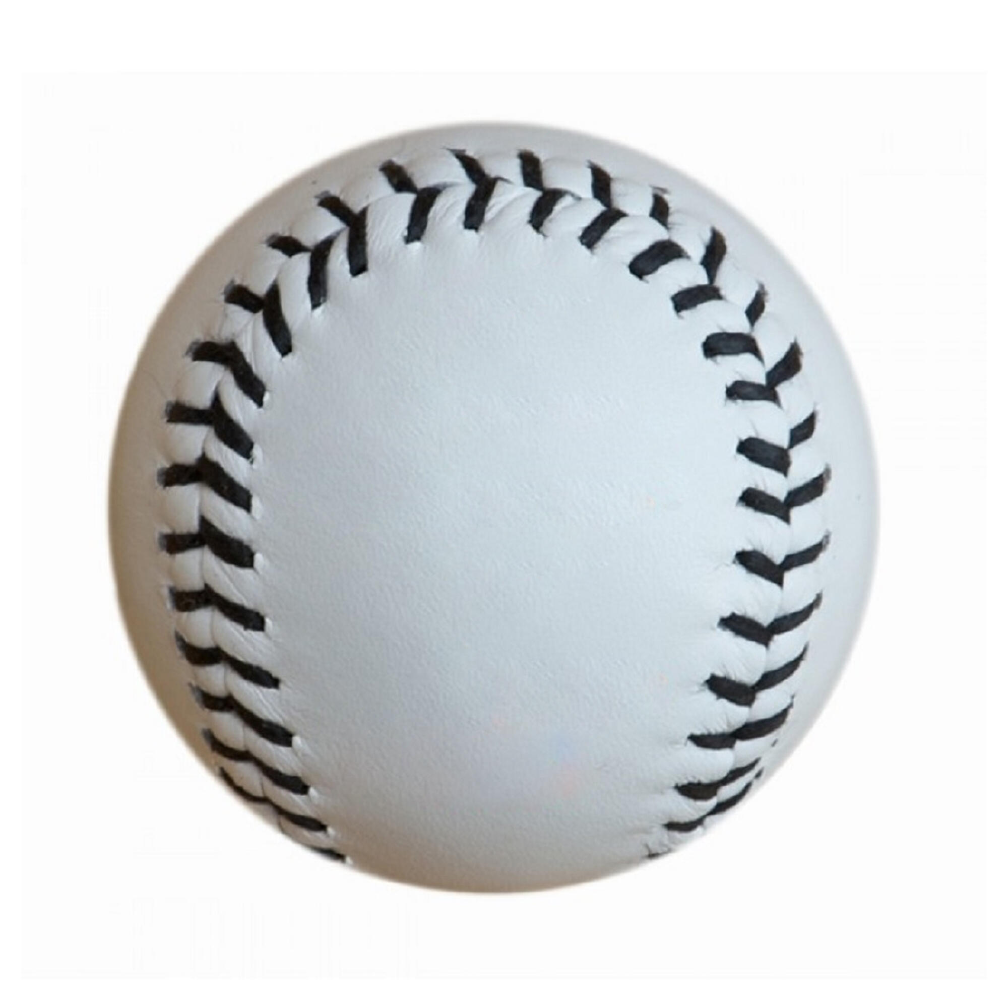 Autocrat Leather Rounders Ball (White/Blue) 2/3