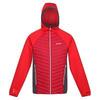 Veste ANDRESON HYBRID Homme (Rouge foncé / Rouge sang)