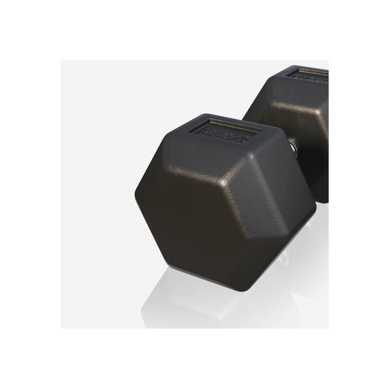 Dumbbell - 1 x 42,5 kg - Gietijzer - Hexagon - Halter
