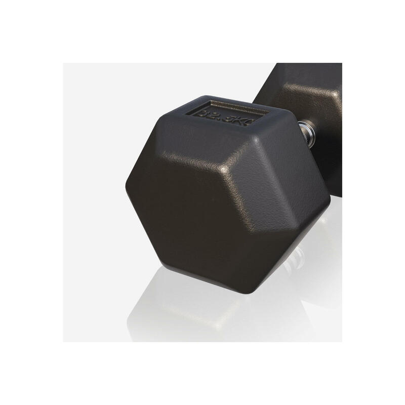 Dumbbell - 1 x 32,5 kg - Gietijzer - Hexagon - Halter