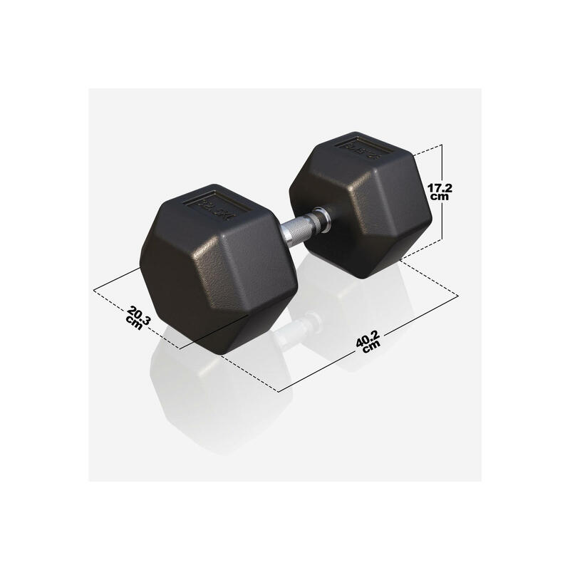 Dumbbell - 1 x 32,5 kg - Gietijzer - Hexagon - Halter