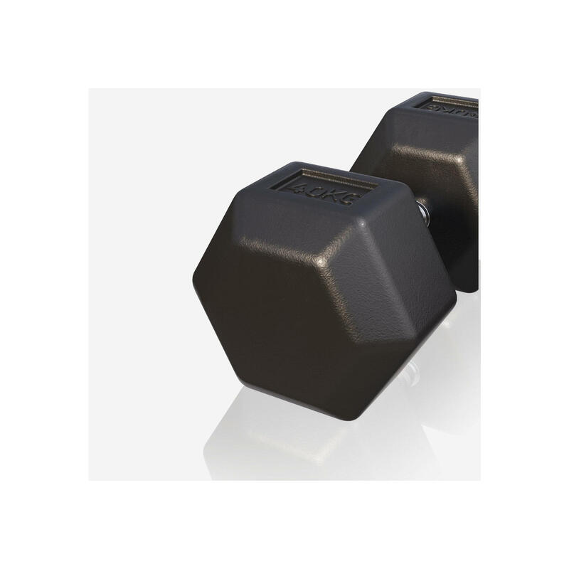 Dumbbell - 1 x 40 kg - Gietijzer - Hexagon - Halter