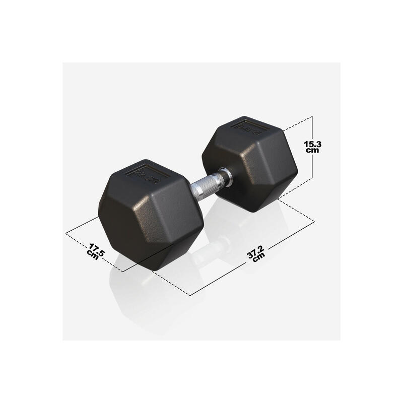 Dumbbell - 1 x 22,5 kg - Gietijzer - Hexagon - Halter