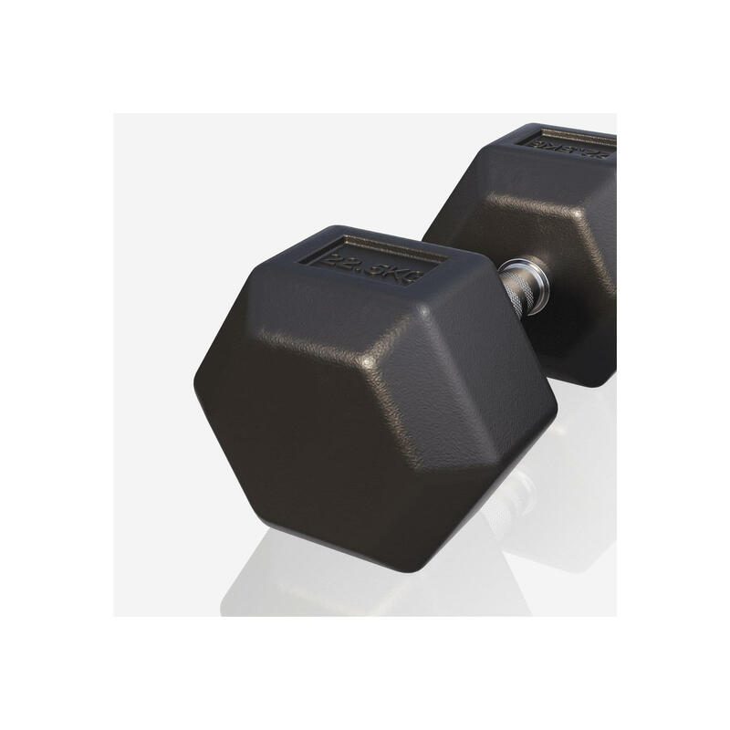 Dumbbell - 1 x 22,5 kg - Gietijzer - Hexagon - Halter