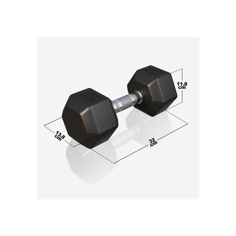 Dumbbell - 1 x 10 kg - Gietijzer - Hexagon - Halter