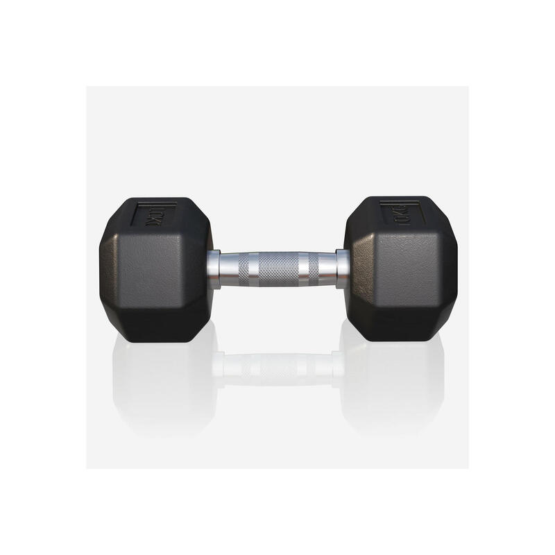 Dumbbell - 1 x 10 kg - Gietijzer - Hexagon - Halter