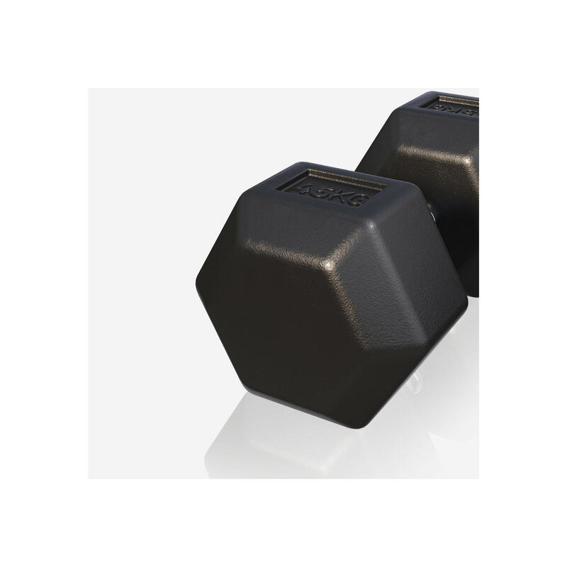 Dumbbell - 1 x 45 kg - Gietijzer - Hexagon - Halter