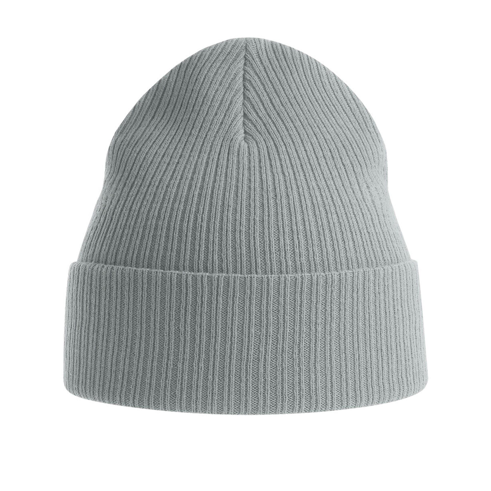 Unisex Adult Nelson Ribbed Cotton Beanie (Light Grey) 2/3