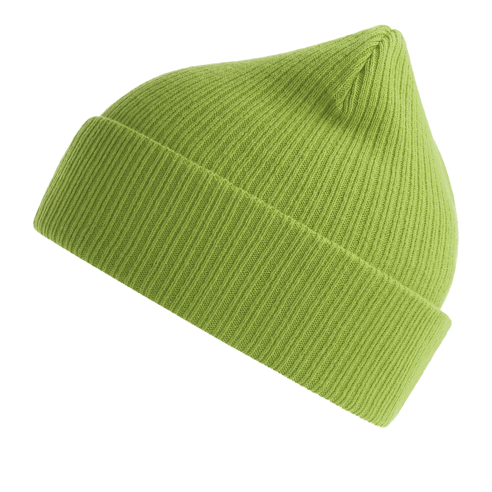 Unisex Adult Nelson Ribbed Organic Cotton Beanie (Leaf Green) 1/3