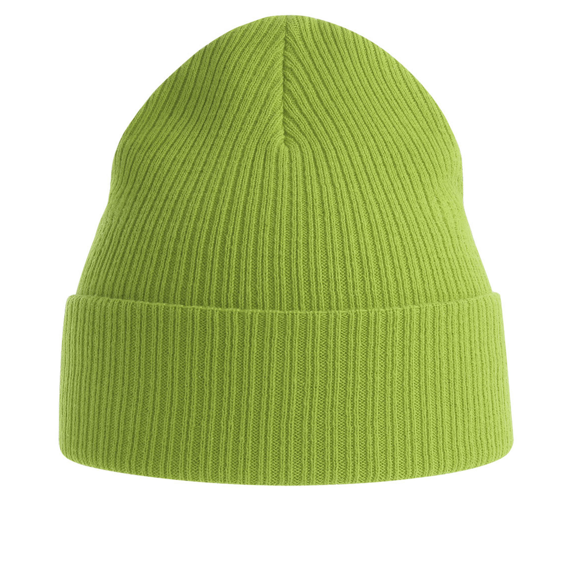 Unisex Adult Nelson Ribbed Organic Cotton Beanie (Leaf Green) 2/3