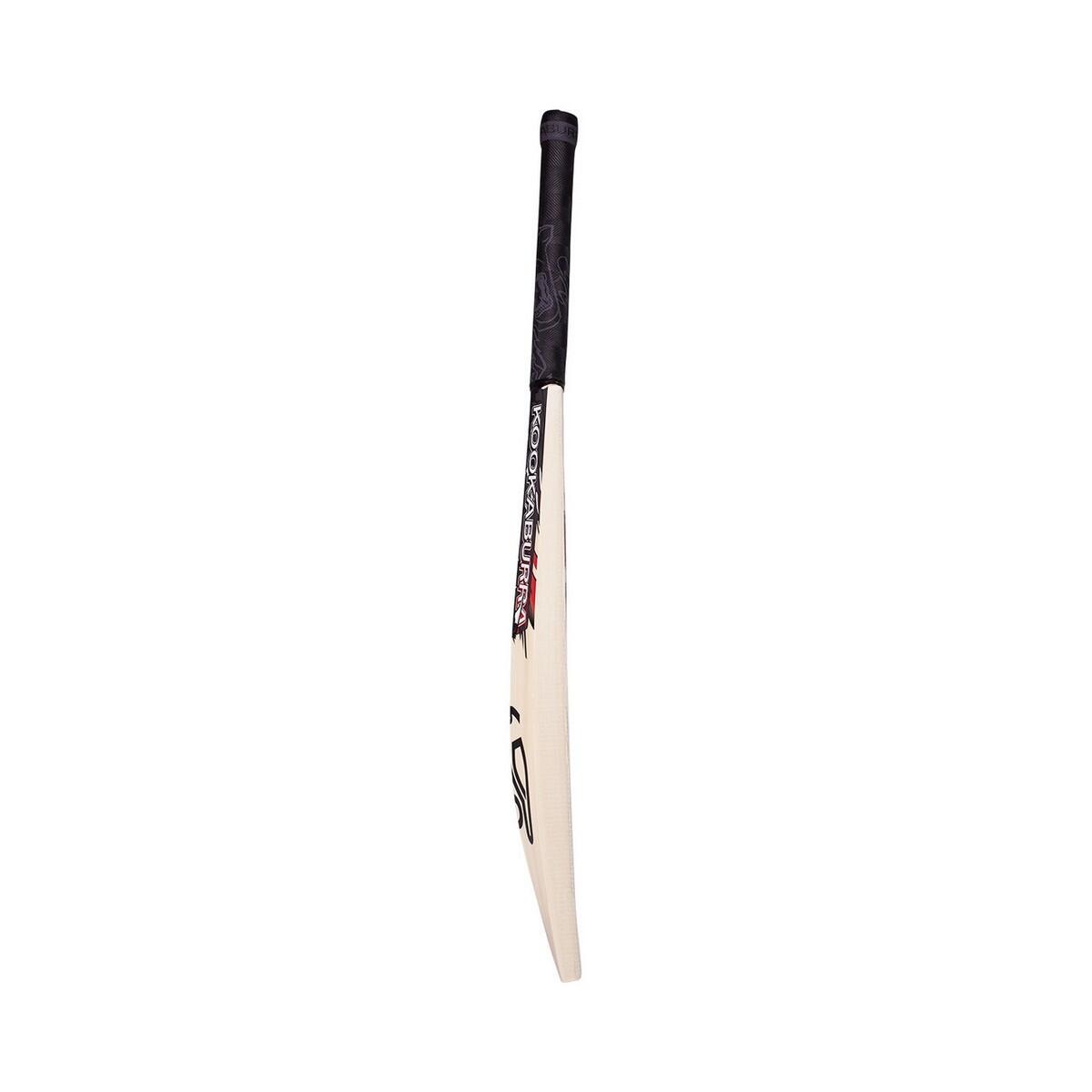 Beast 9.1 Cricket Bat (Natural) 4/4