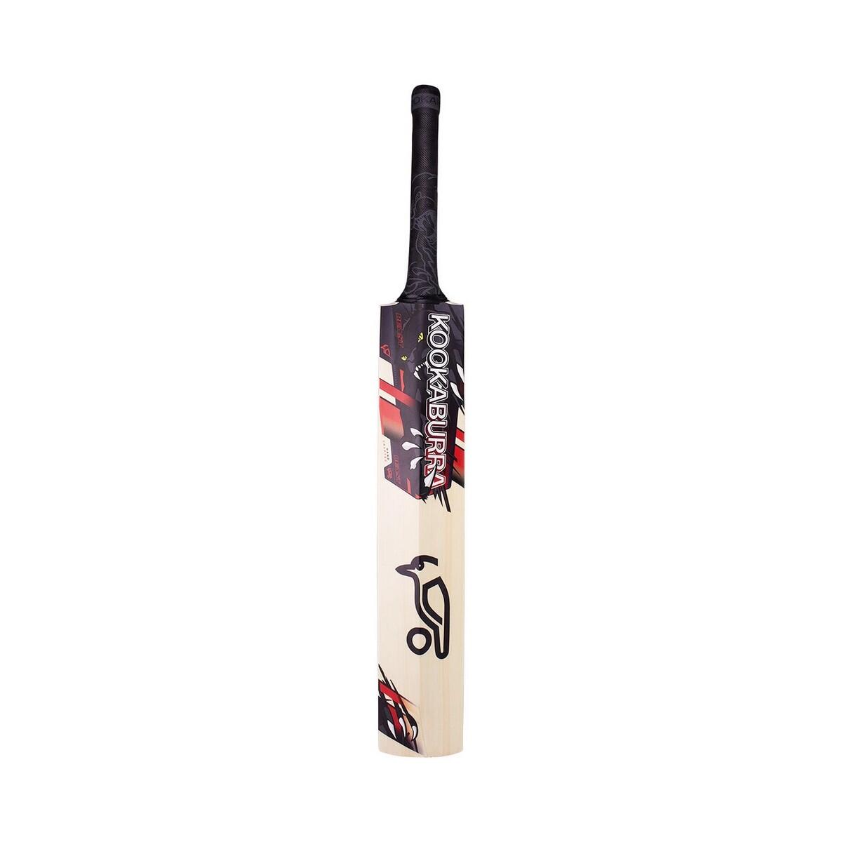 Beast 9.1 Cricket Bat (Natural) 2/4