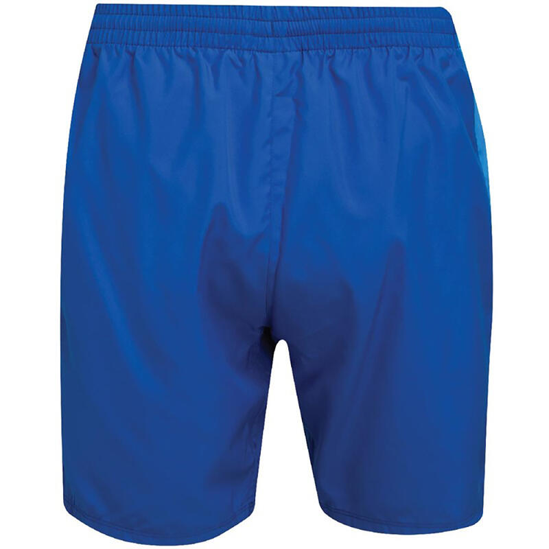 Shorts für Training Herren Königsblau/Graublau/Weiß