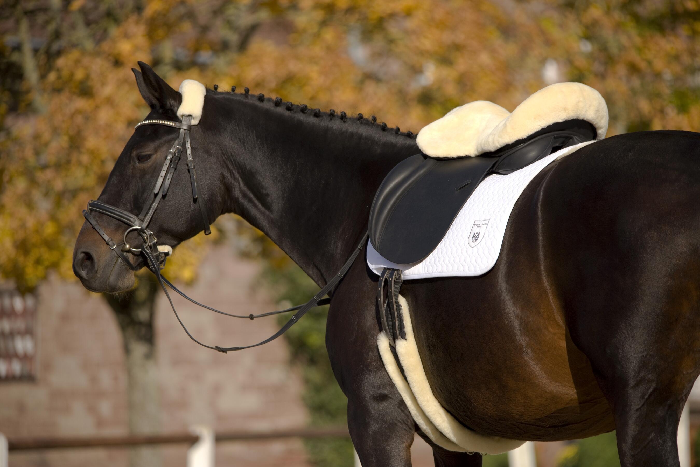 Housse de selle pour cheval Werner Christ Horse Englisch 2/4