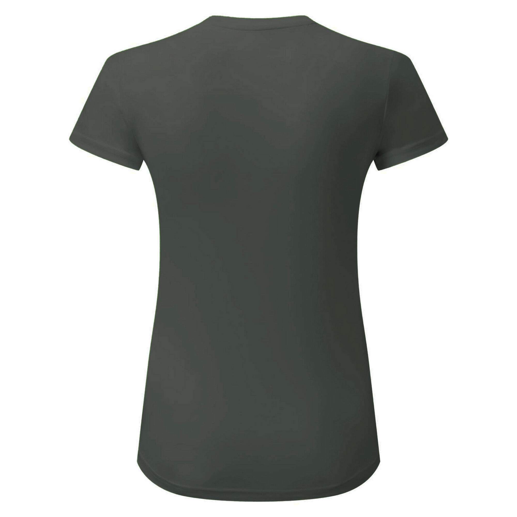 Tri Dri Womens/Ladies Panelled Crew Neck TShirt (Charcoal) 2/3