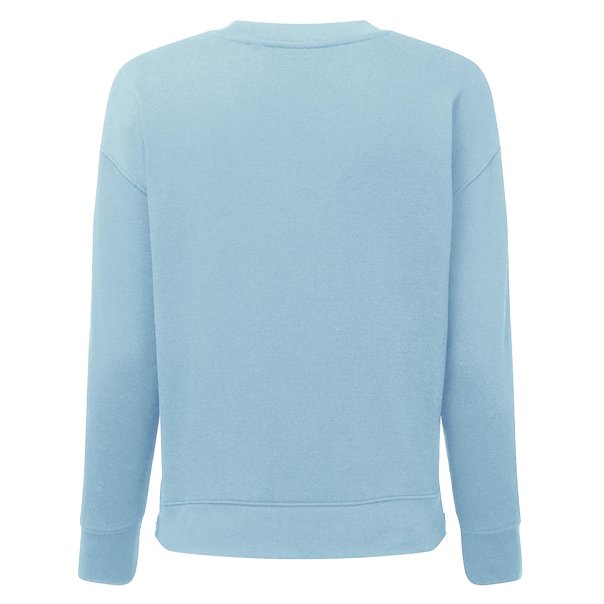 Womens/Ladies Zipped Sweatshirt (Sky Blue) 2/3