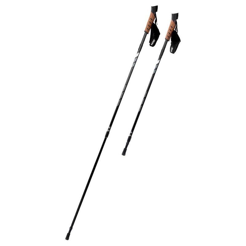 Bastones de Senderismo Alpenstock Negro, Gris