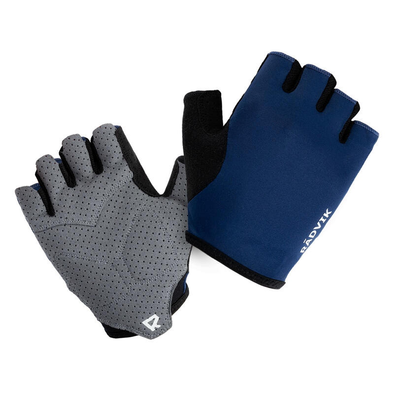 Gants LEAR Homme (Bleu / Noir / Gris)