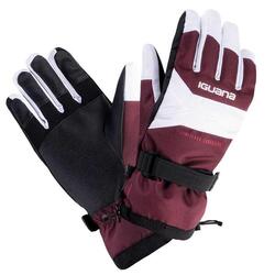 Gants De Ski ALESSIA Femme (Pourpre / Blanc)