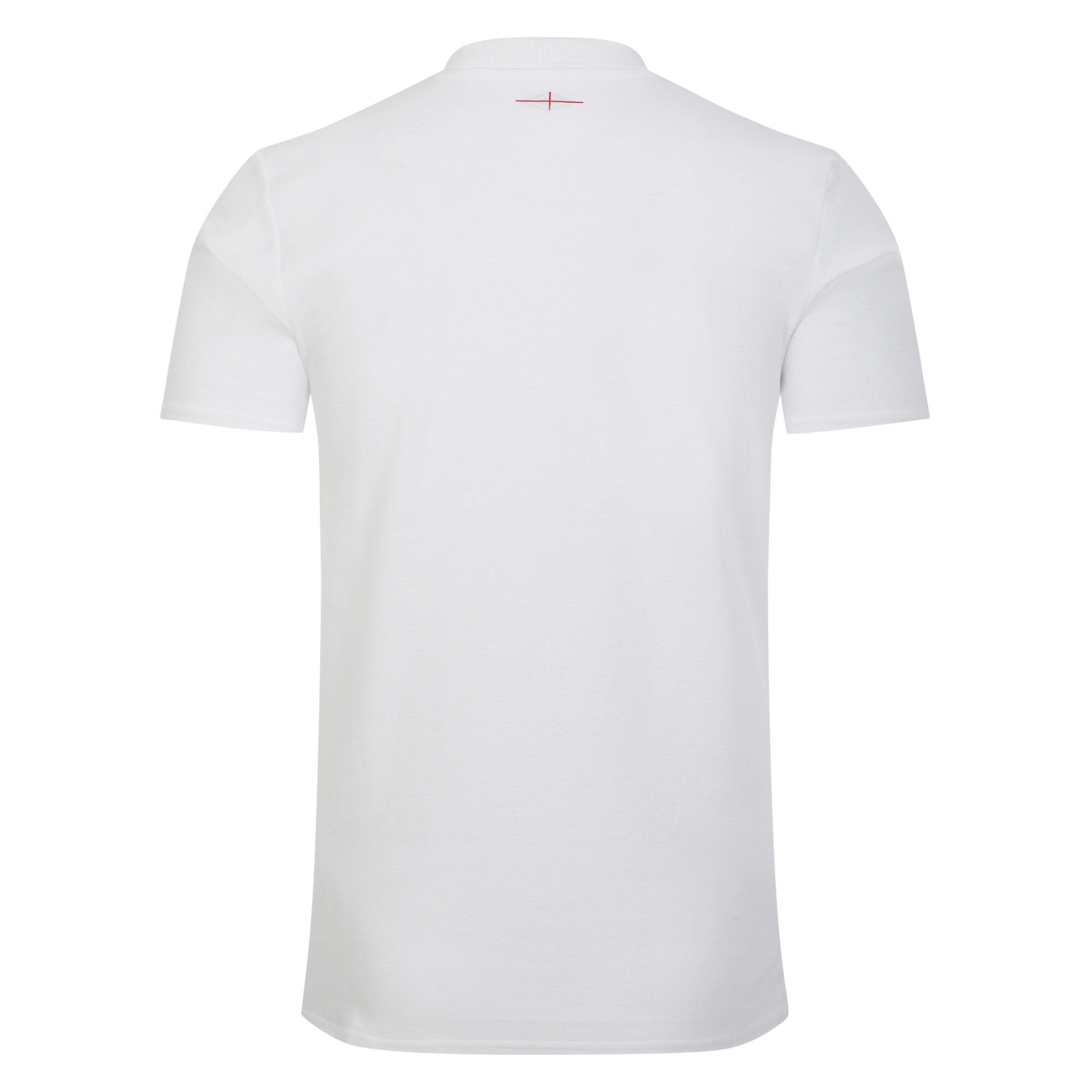 Mens 23/24 England Rugby CVC Polo Shirt (Brilliant White/Foggy Dew) 2/4