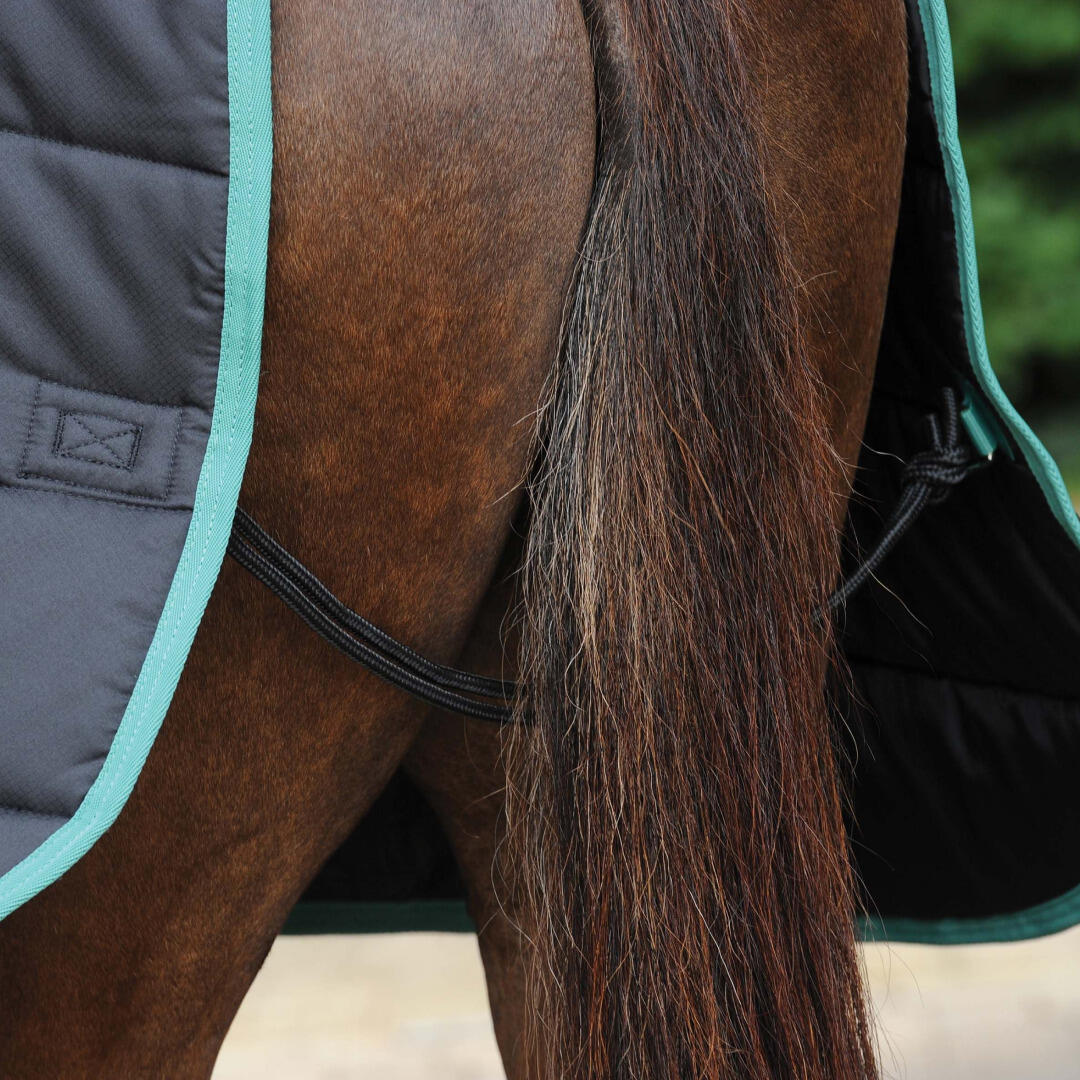 GreenTec StandardNeck Medium Lightweight Horse Stable Rug (Black/Bottle Green) 2/4