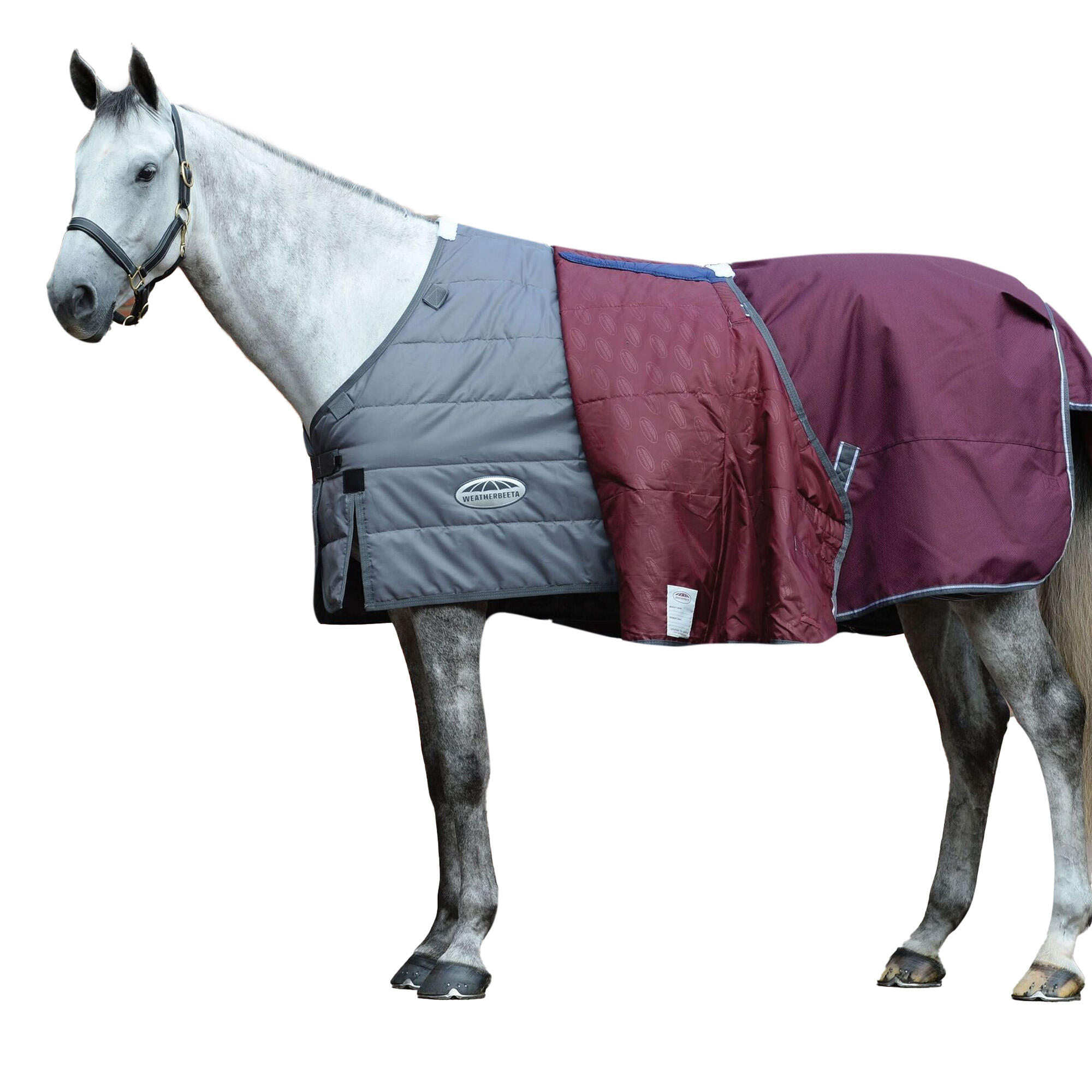 Comfitec Plus Dynamic II Combo Neck Midweight Horse Turnout Rug 4/4
