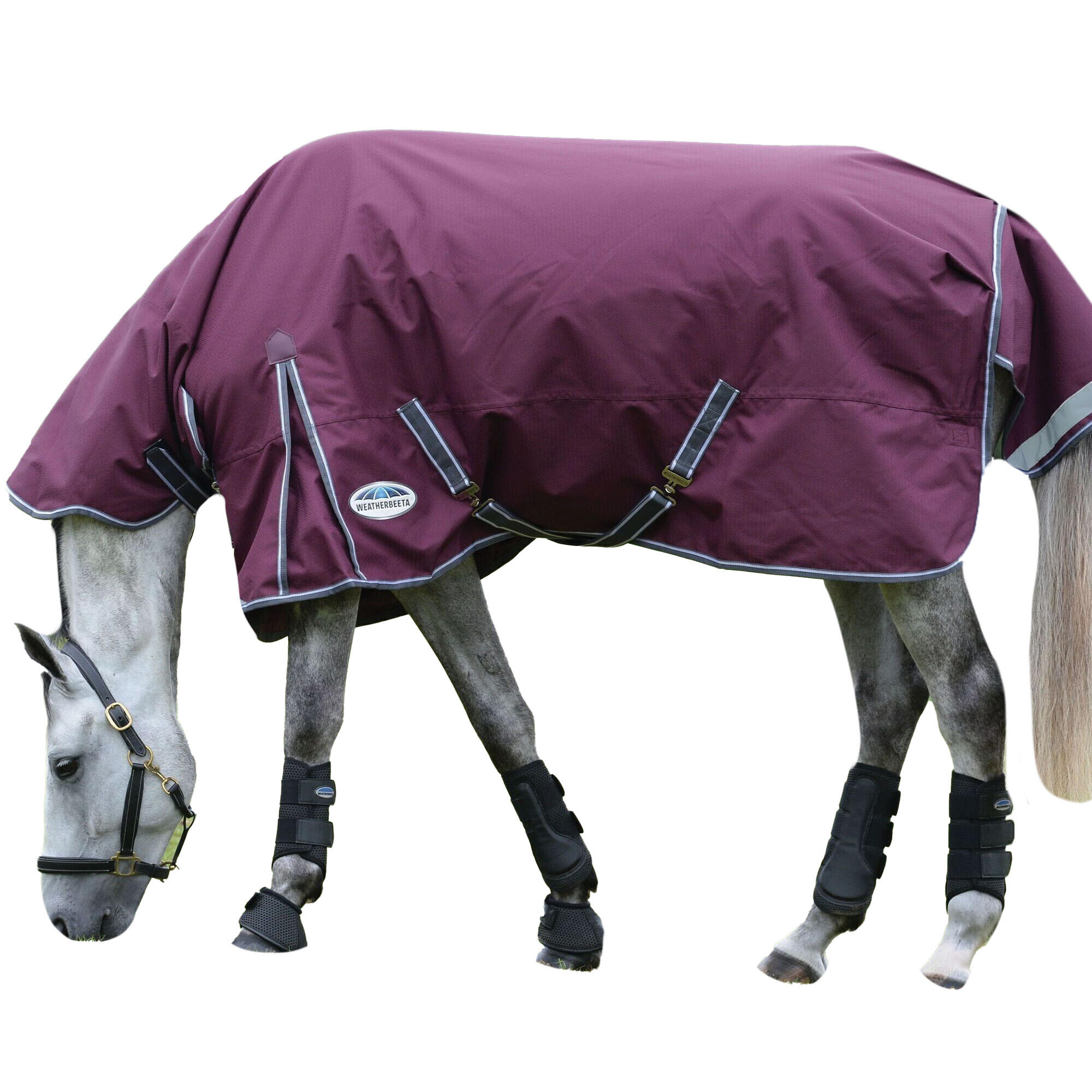 Comfitec Plus Dynamic II Combo Neck Midweight Horse Turnout Rug 3/4