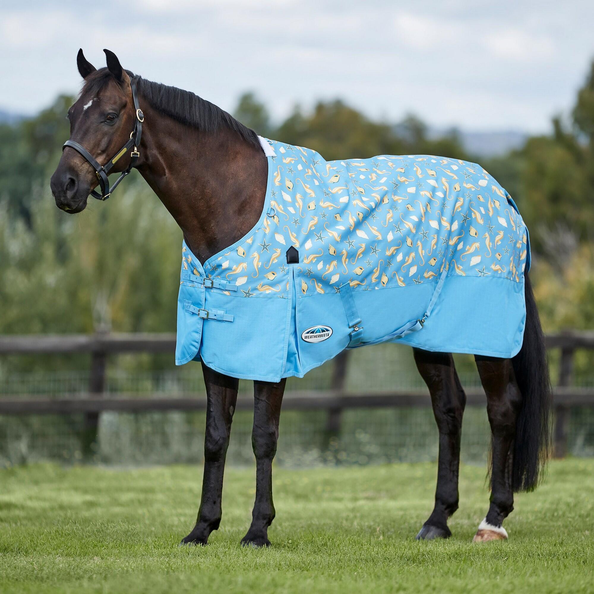 COMFITEC ESSENTIAL horse rug (Blue / Yellow)