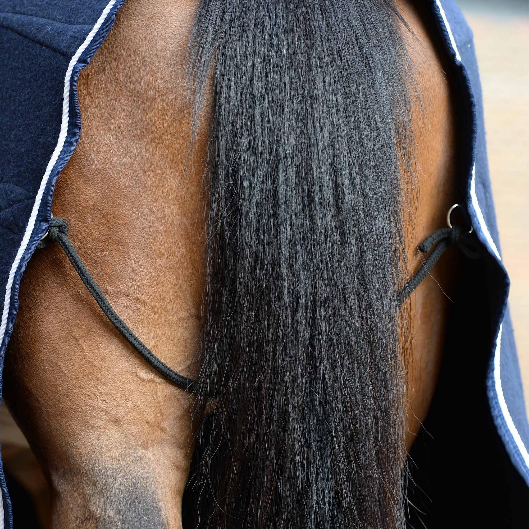 Horse blanket (Navy blue / White)