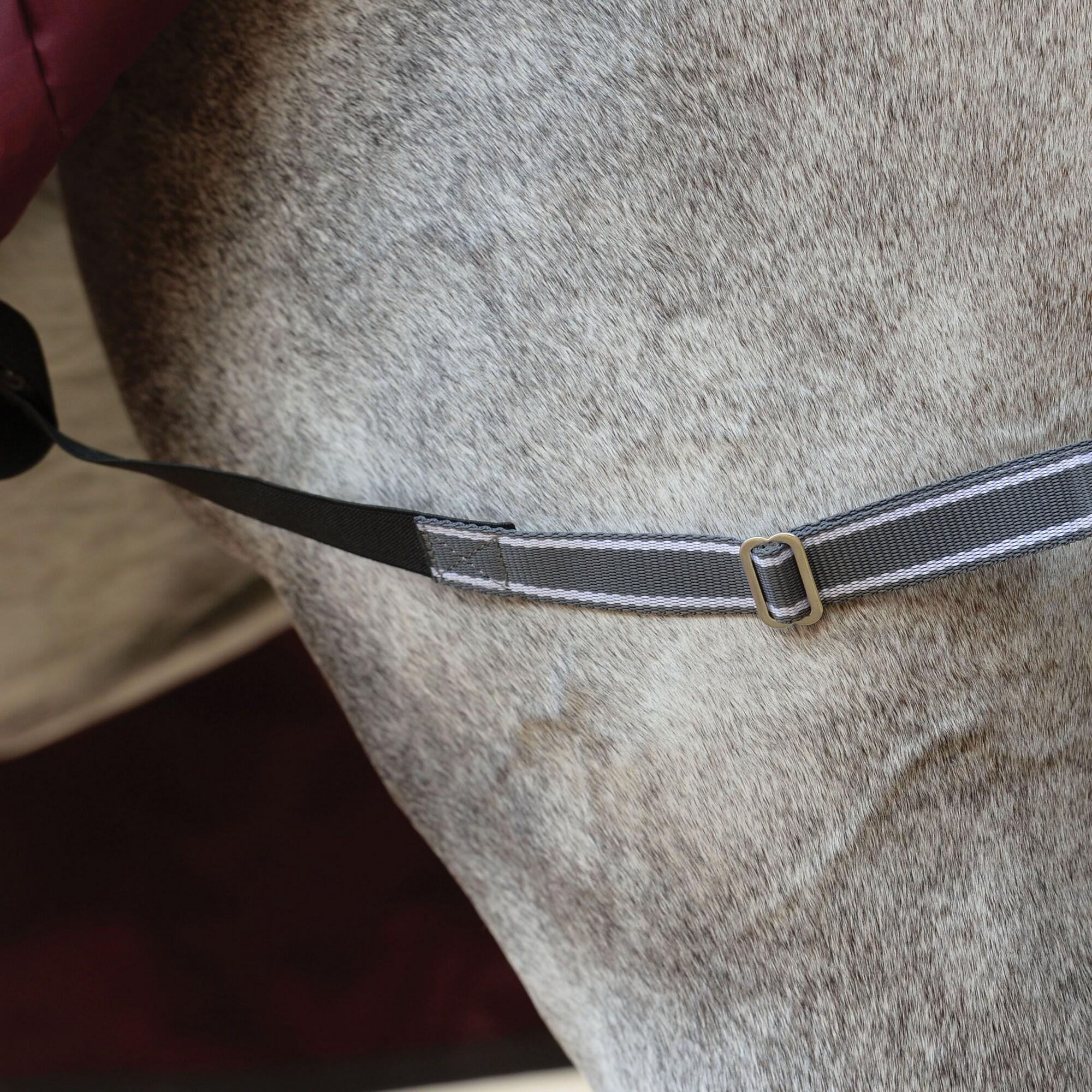 Comfitec Plus Dynamic II StandardNeck 220g Horse Turnout Rug (Maroon/Grey/White) 6/6
